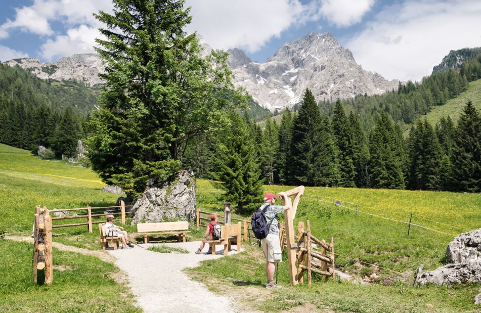 Wanderweg in Filzmoos © TVB Filzmoos/Coen Weesjes