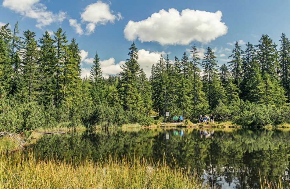 Natursee © Tourismusinformation Filzmoos/Coen Weesjes